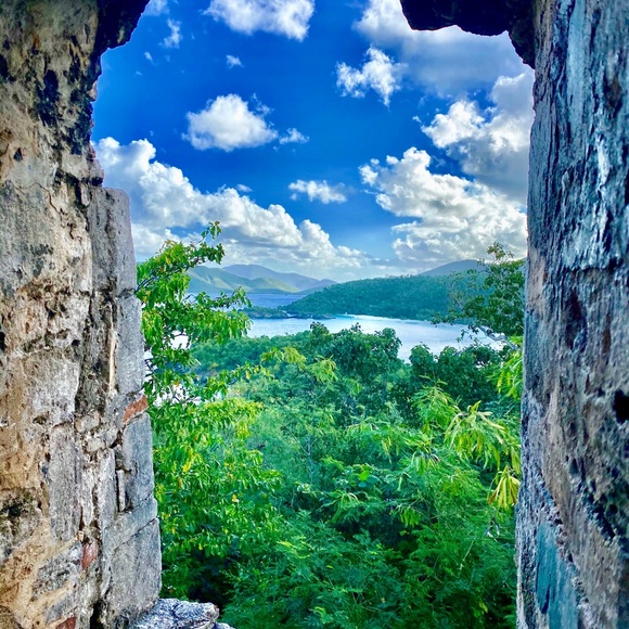 Meet your Posher, Phyllis - Picture 13 of 16